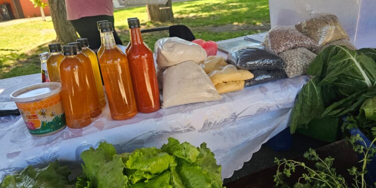 El Carmen vivirá este viernes la versión 2025 de su Expo Prodesal