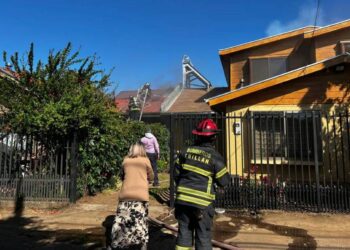 Incendio en Sector Parque Lantaño de Chillán