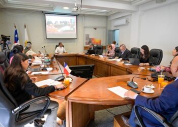 Concejo de Chillán aprobó proyecto para instalar cámaras y luminarias en zonas urbanas y rurales