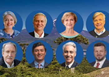 Los Numeros que dejaron las elecciones  2025