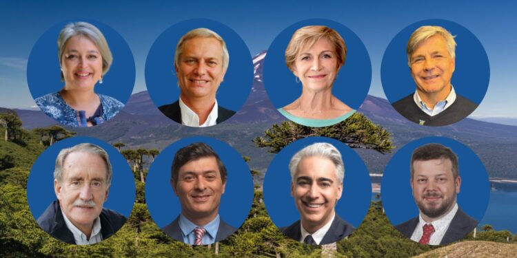 Los Numeros que dejaron las elecciones  2025