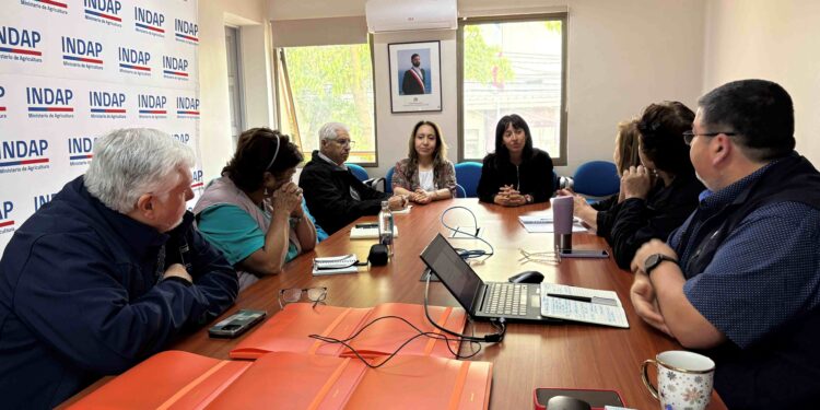 Campesinas y campesinos de Ñuble eligieron a sus representantes para el Consejo Asesor Regional de INDAP
