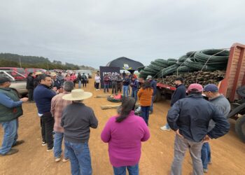 Entregan invernaderos y sistemas de control de heladas a 52 familias campesinas de Cobquecura.