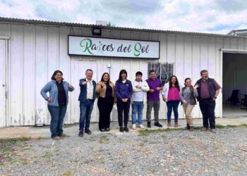 Empresas campesinas de Quillón abren nuevos mercados con hortalizas frescas y semi procesadas.