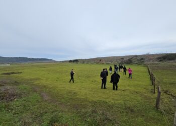 Adjudican a Asociación Laja Diguillín permiso provisorio para uso de terreno fiscal en Buchupureo