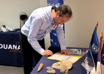 Museo de Historia Natural de Concepción recibió 112 fósiles incautados por Aduanas