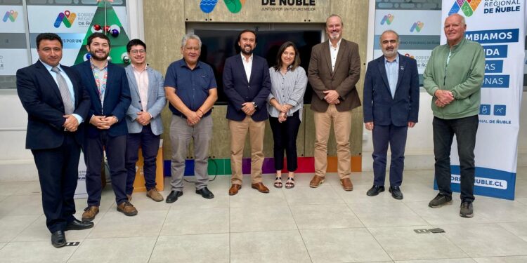 Comité de Desarrollo Productivo de Ñuble beneficia a más de 1.900 emprendedores y pymes en 2025