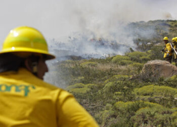 CONAF reporta cuatro incendios forestales en combate y mantiene alertas rojas comunales en Ñuble, Biobío, Valparaíso y la RM