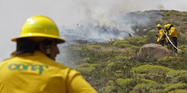 CONAF reporta cuatro incendios forestales en combate y mantiene alertas rojas comunales en Ñuble, Biobío, Valparaíso y la RM