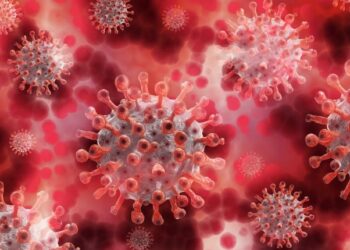 AH3N2 ya está Chile Y en Ñuble También