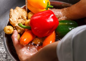 Alimentación segura en verano: claves para prevenir enfermedades en días de altas temperaturas