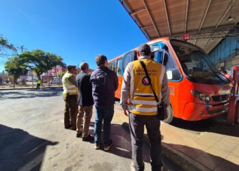  INTENSIFICAN FISCALIZACIÓN DE TRANSPORTES POR FIESTAS DE FIN DE AÑO EN LA REGIÓN DE ÑUBLE