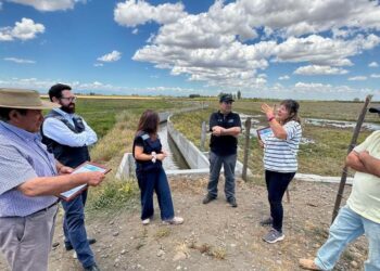 Comisión Nacional de Riego recorre nuevas obras que impulsan el sueño arrocero en la comuna de Ñiquén