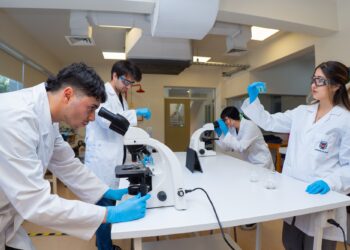 UBB renueva sus Ingenierías Civiles para responder a los desafíos actuales del país