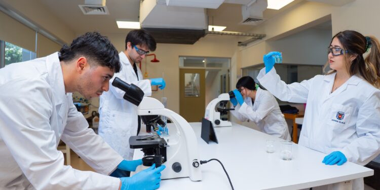 UBB renueva sus Ingenierías Civiles para responder a los desafíos actuales del país