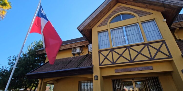 Municipalidad de El Carmen presenta querella por maltrato animal con resultado de muerte