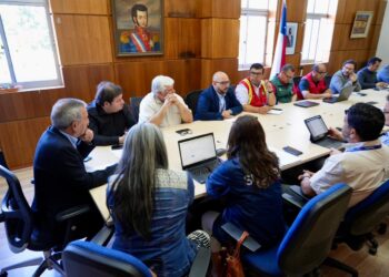 ARTICULACIÓN PÚBLICO-PRIVADA BUSCA RESGUARDAR SERVICIOS DE TELECOMUNICACIONES ANTE INCENDIOS EN ÑUBLE