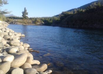 Confirma hallazgo del cuerpo del joven extranjero que había desaparecido  en las aguas del río Ñuble