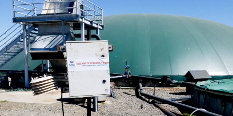 Autoridad ambiental refuerza acciones frente a episodios de olores molestos en Chillán y Chillán Viejo