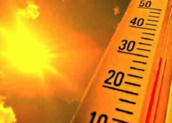 Suseso recuerda las medidas preventivas para proteger a los trabajadores frente a las altas temperaturas