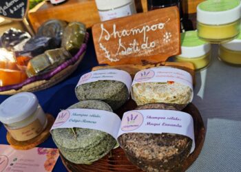 Lanzan la Temporada Estival 2025-2026 en El Carmen