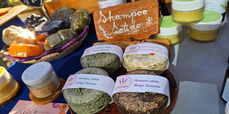 Lanzan la Temporada Estival 2025-2026 en El Carmen