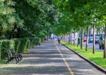 Altas temperaturas: experta UCSC advierte cómo el diseño urbano puede reducir las islas de calor en las ciudades