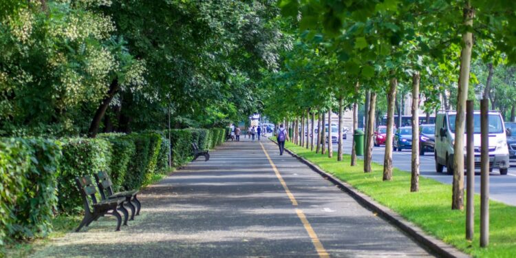 Altas temperaturas: experta UCSC advierte cómo el diseño urbano puede reducir las islas de calor en las ciudades