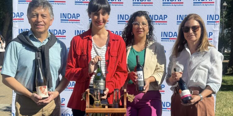 12° Concurso del Vino del Valle del Itata suma Feria este 2025 y se consolida para posicionar la producción vitivinícola de Ñuble.