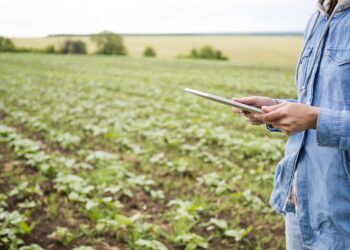 Ñuble abre convocatorias por $2.400 millones para fortalecer la inversión y el turismo en empresas y emprendedores de la región