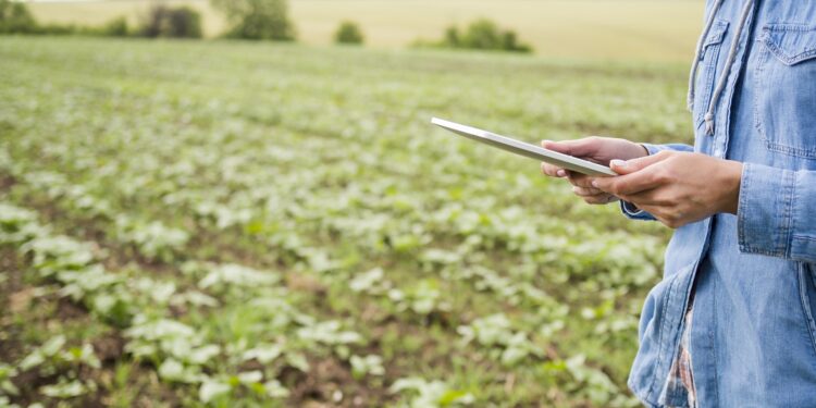 Ñuble abre convocatorias por $2.400 millones para fortalecer la inversión y el turismo en empresas y emprendedores de la región