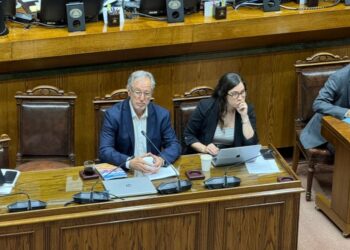 Senado aprobó proyecto de Ferias Libres quedando a pasos de ser Ley