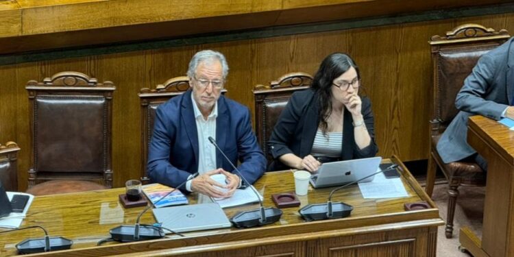 Senado aprobó proyecto de Ferias Libres quedando a pasos de ser Ley