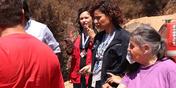 Gobierno anuncia dos nuevas Ayudas Tempranas para familias afectadas por incendios forestales