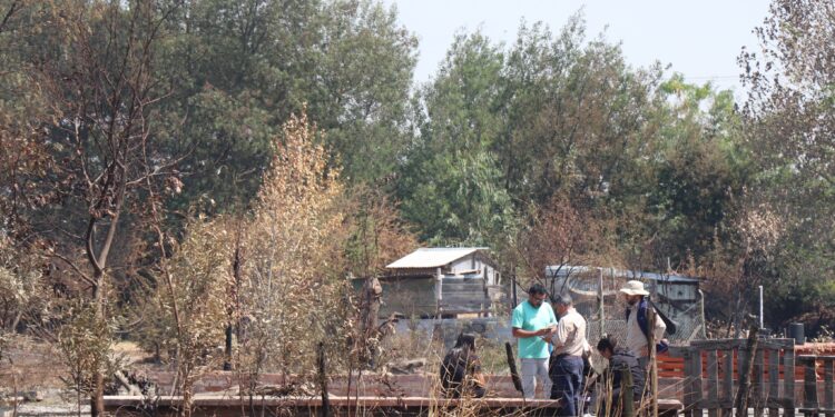 Contraloría cursa decreto del MINVU para favorecer reconstrucción en Ñuble y Biobío