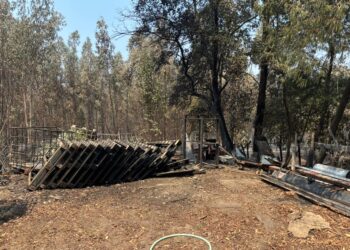 Ministerio de Economía inicia levantamiento de información para activar instrumentos de reconstrucción  por incendios forestales