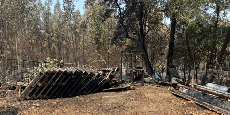 Ministerio de Economía inicia levantamiento de información para activar instrumentos de reconstrucción  por incendios forestales