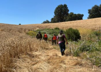 Radio de búsqueda de joven en El Carmen ya supera los 80 km²