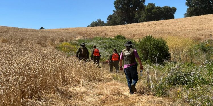 Radio de búsqueda de joven en El Carmen ya supera los 80 km²