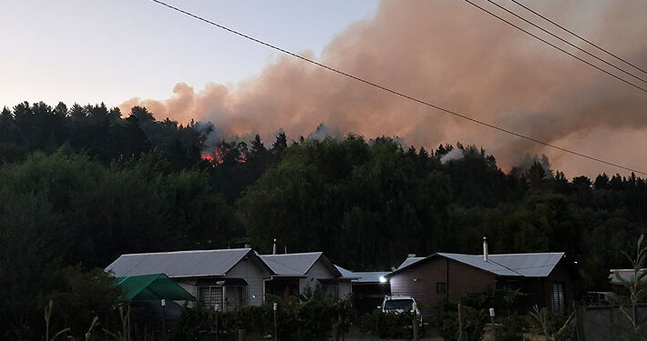 Alerta en Región de Ñuble por incendios forestales: Llamas han consumido más de 1.000 hectáreas