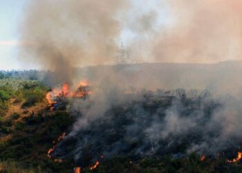 Se Cancela Alerta Temprana Preventiva Regional- Incendio Forestal