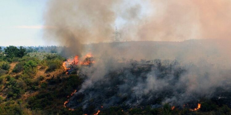 Se Cancela Alerta Temprana Preventiva Regional- Incendio Forestal