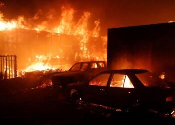 Incendios Forestales; 19 Fallecidos ha dejado hasta la noche de este domingo