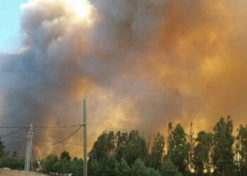 San Nicolás en Alerta Roja por incendio forestal: piden evacuar tres sectores de la comuna