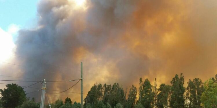 San Nicolás en Alerta Roja por incendio forestal: piden evacuar tres sectores de la comuna