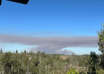 Alerta Roja para Ránquil por incendio forestal: humo se observa en comunas de Ñuble y Bío Bío