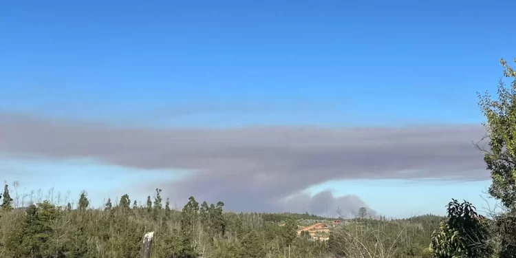 Alerta Roja para Ránquil por incendio forestal: humo se observa en comunas de Ñuble y Bío Bío