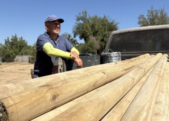 Ministerio de Agricultura entrega apoyo a 373 productores afectados en Ñuble y cierra etapa de primeras ayudas en Trehuaco