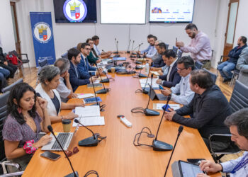 Aprueban Plan de Acción Regional que incluye 16 medidas para enfrentar el Cambio Climático en Ñuble