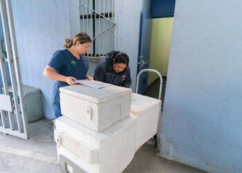 Campaña de vacunación contra la influenza comenzará el 1 de marzo en Ñuble